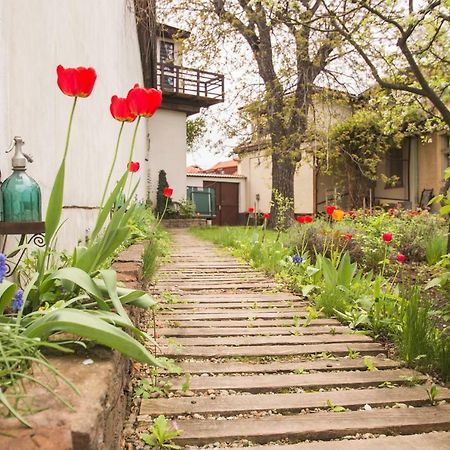 Mango Rooms Brasov Exterior photo